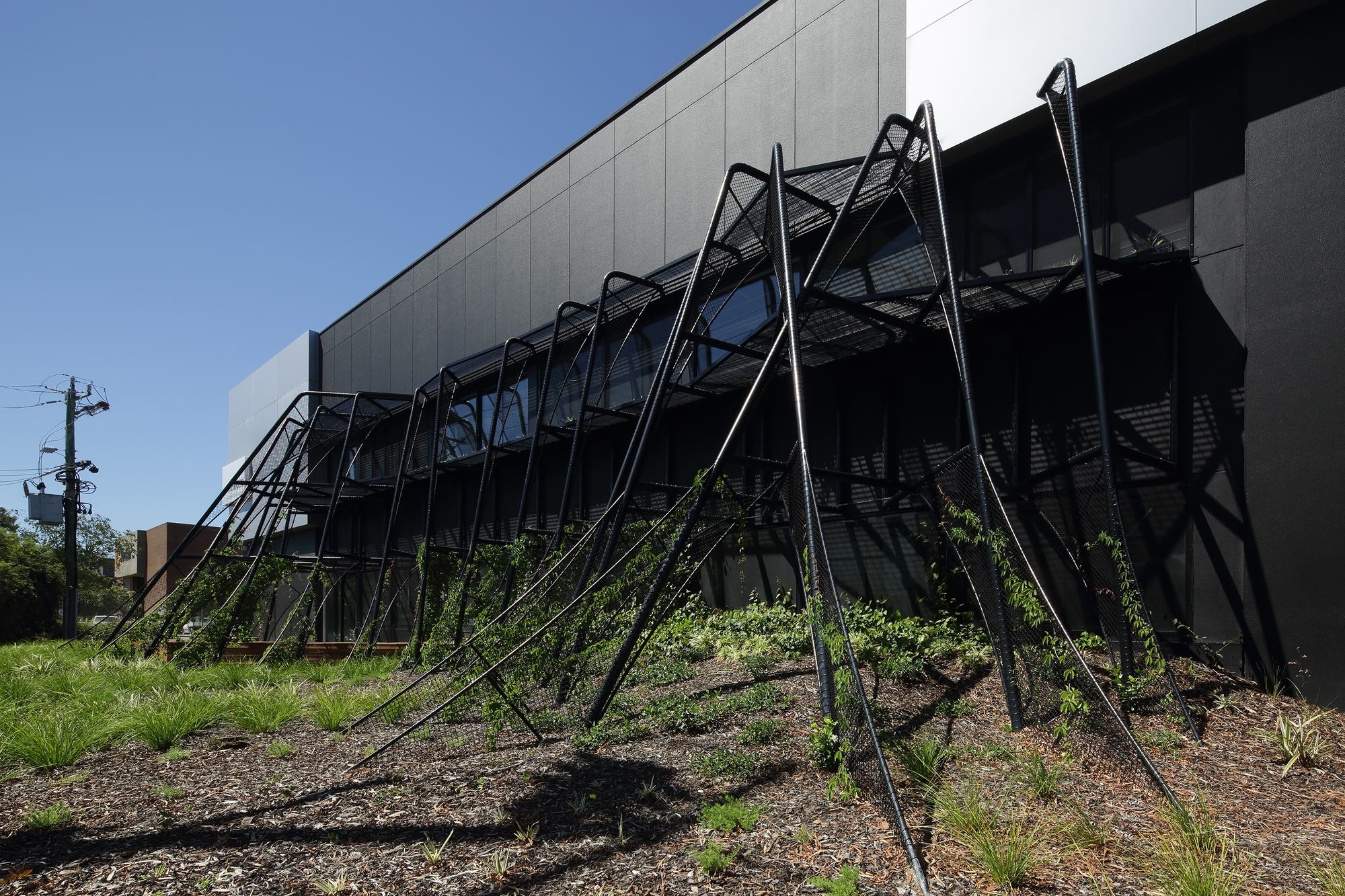 墨尔本 Melrose 健康产品总部,绿色生态办公空间-3