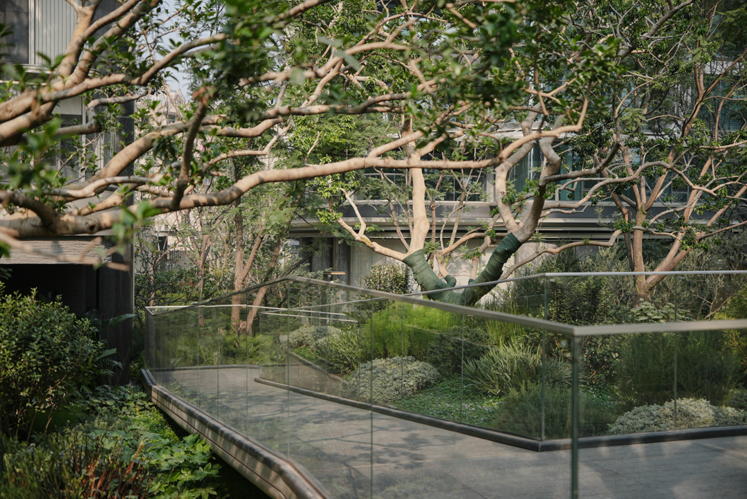 香港置地·启元（二期交付大区）丨中国重庆丨JTL加特林景观设计-52