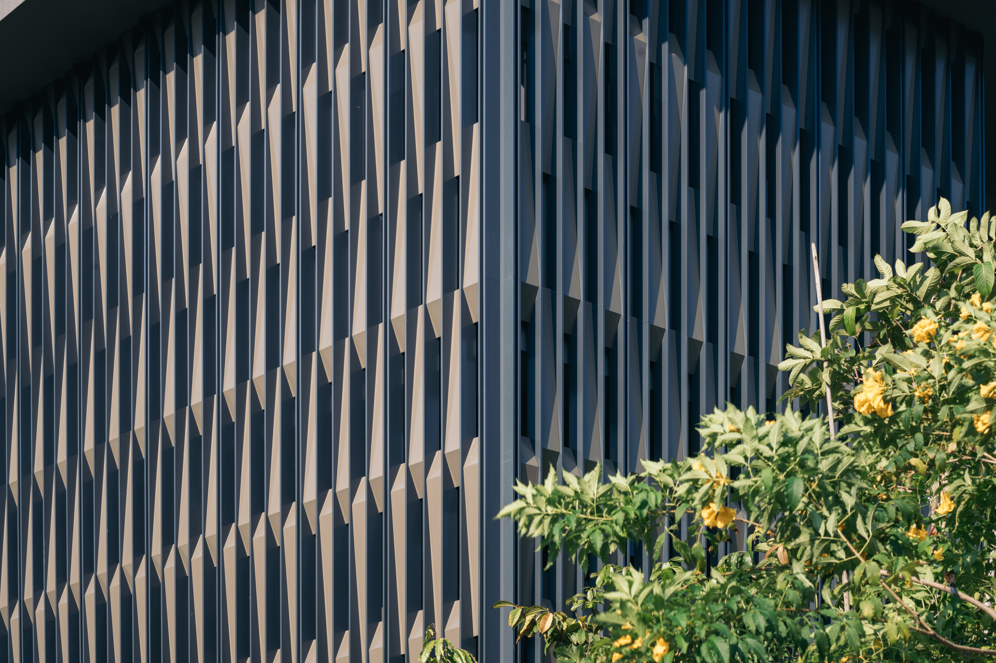 3ASH 之家丨新加坡丨Czarl Architects-19