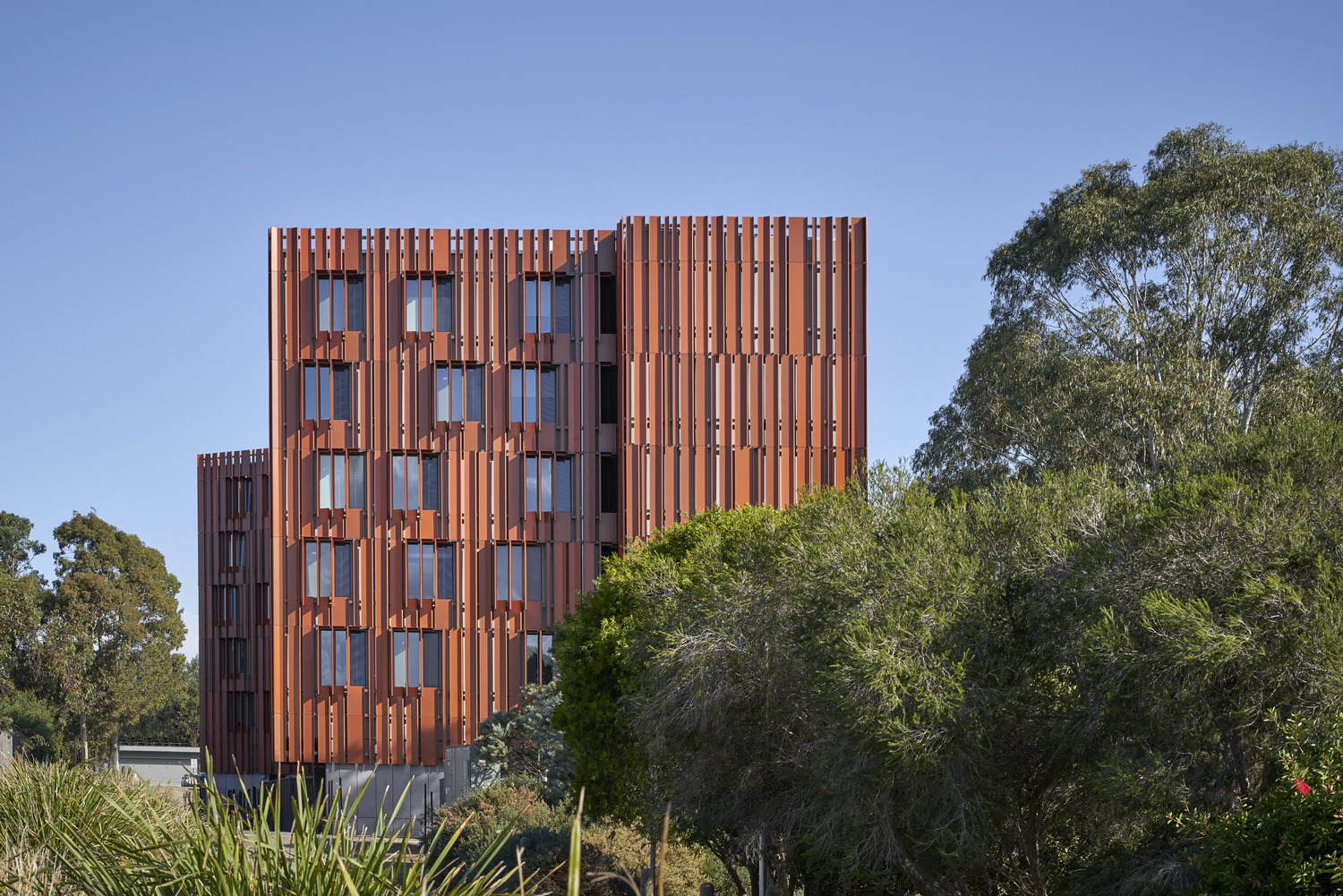 丨Jackson Clements Burrows-3