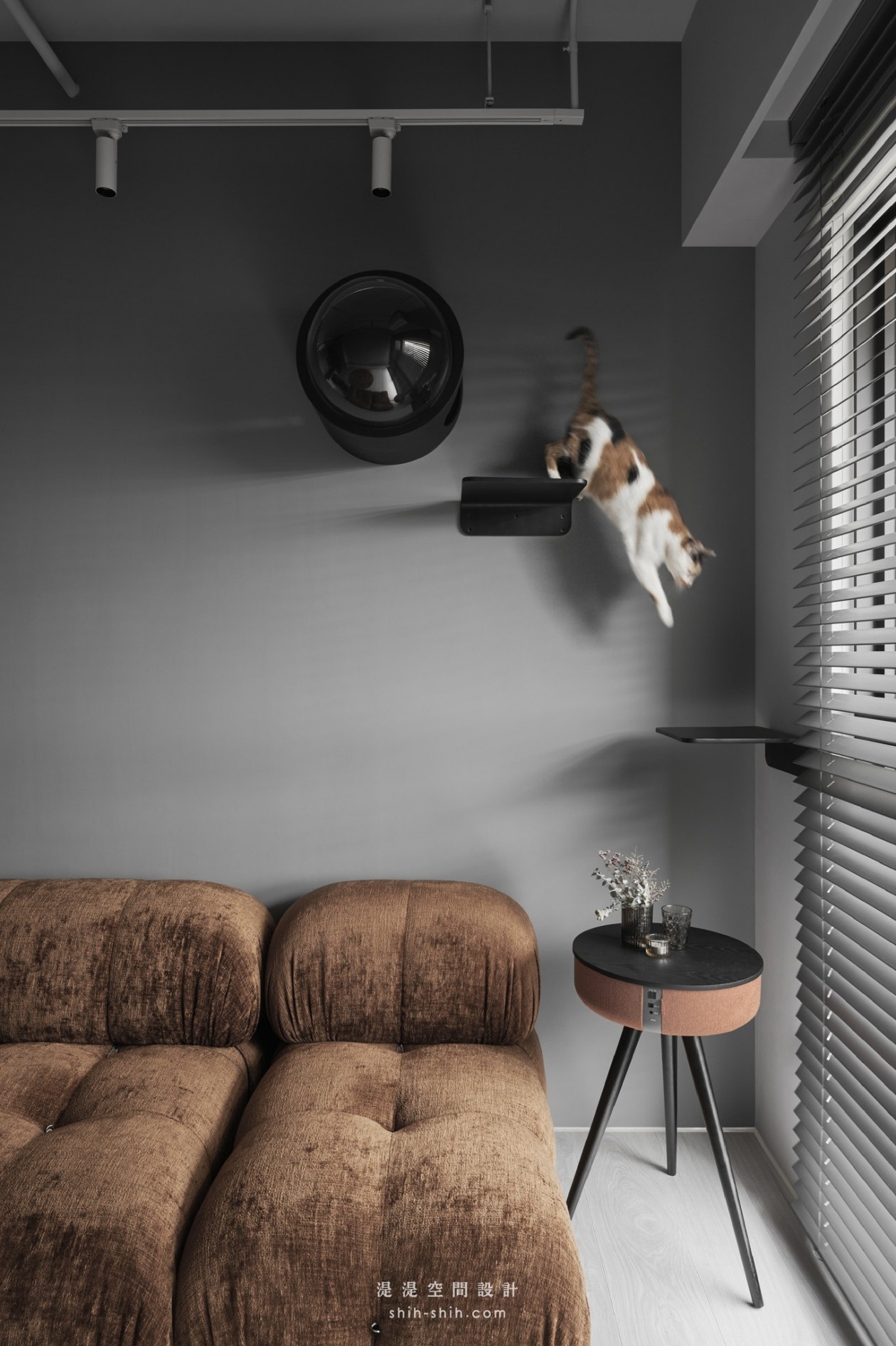 一人一猫的小家 | 湜湜空间设计-3