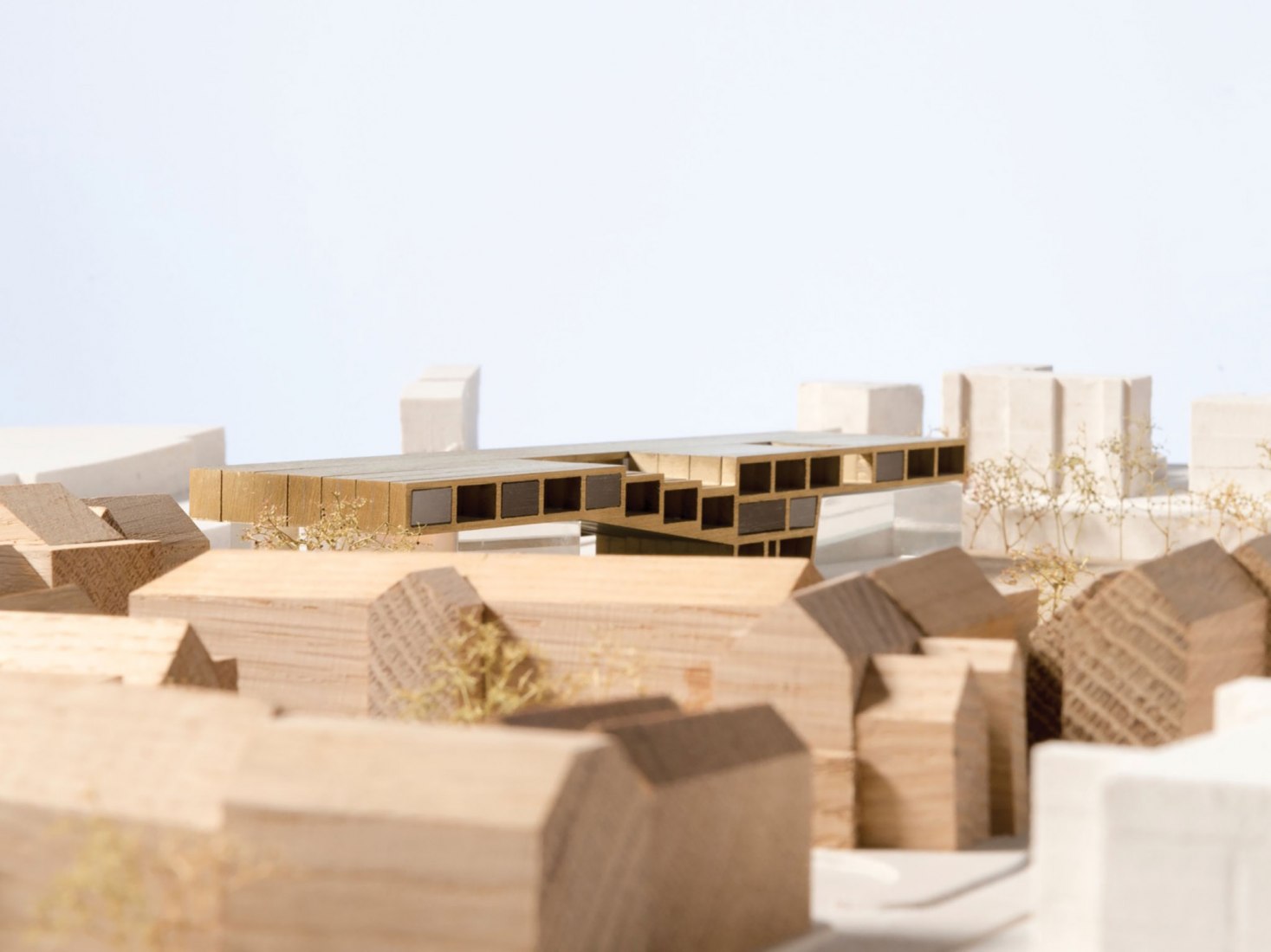 布莱顿学院科学与体育学院大楼丨英国丨大都会建筑事务所（OMA）-48