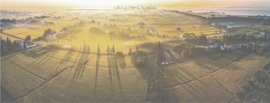 崇明大爱城双拼合院别墅丨中国上海丨上海大铄装饰设计工程有限公司-5