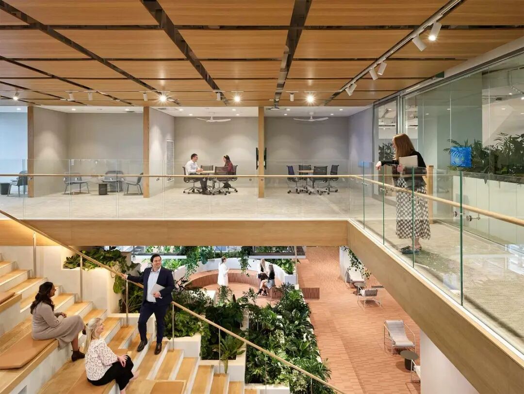 澳洲养老基金ART布里斯班总部丨澳大利亚布里斯班丨Cox Architecture-15