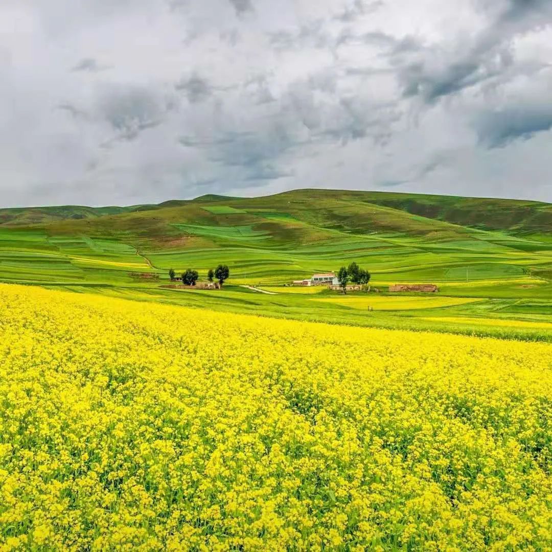 农村小院,生活的理想-8