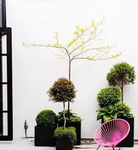 可移动的花园-21