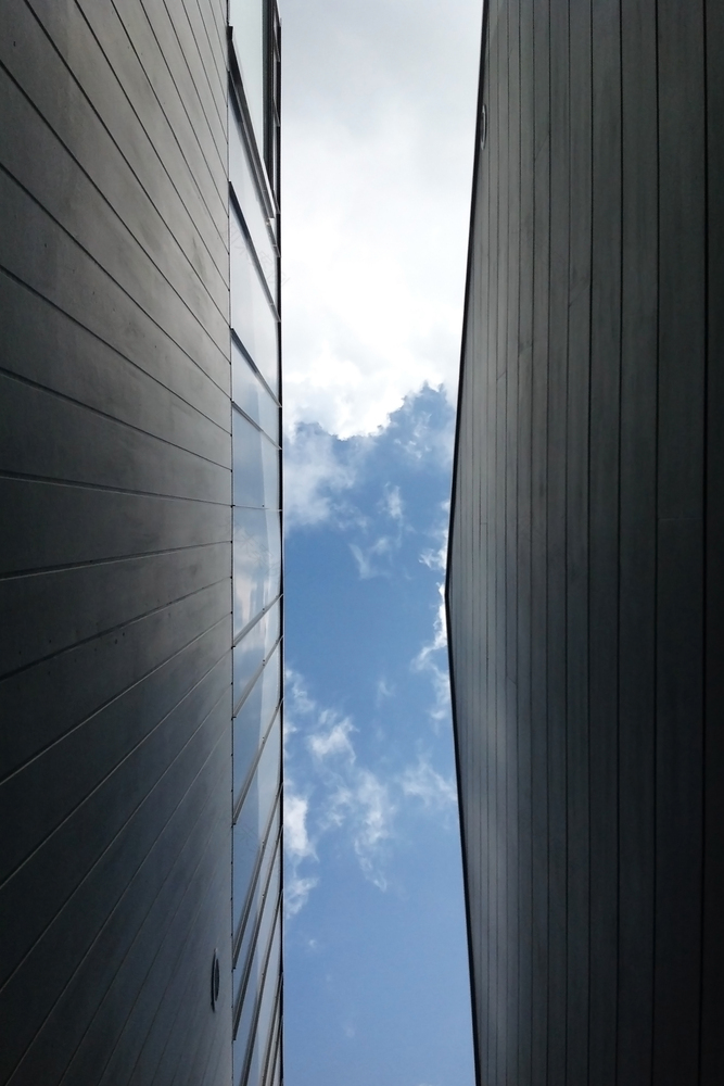 3 Townhouses in Balmain Shed with Terence Yong-85