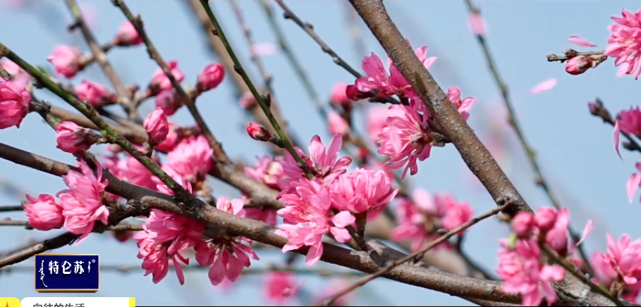 常德老西门棚户区城市更新项目丨中国常德丨何勍等-20