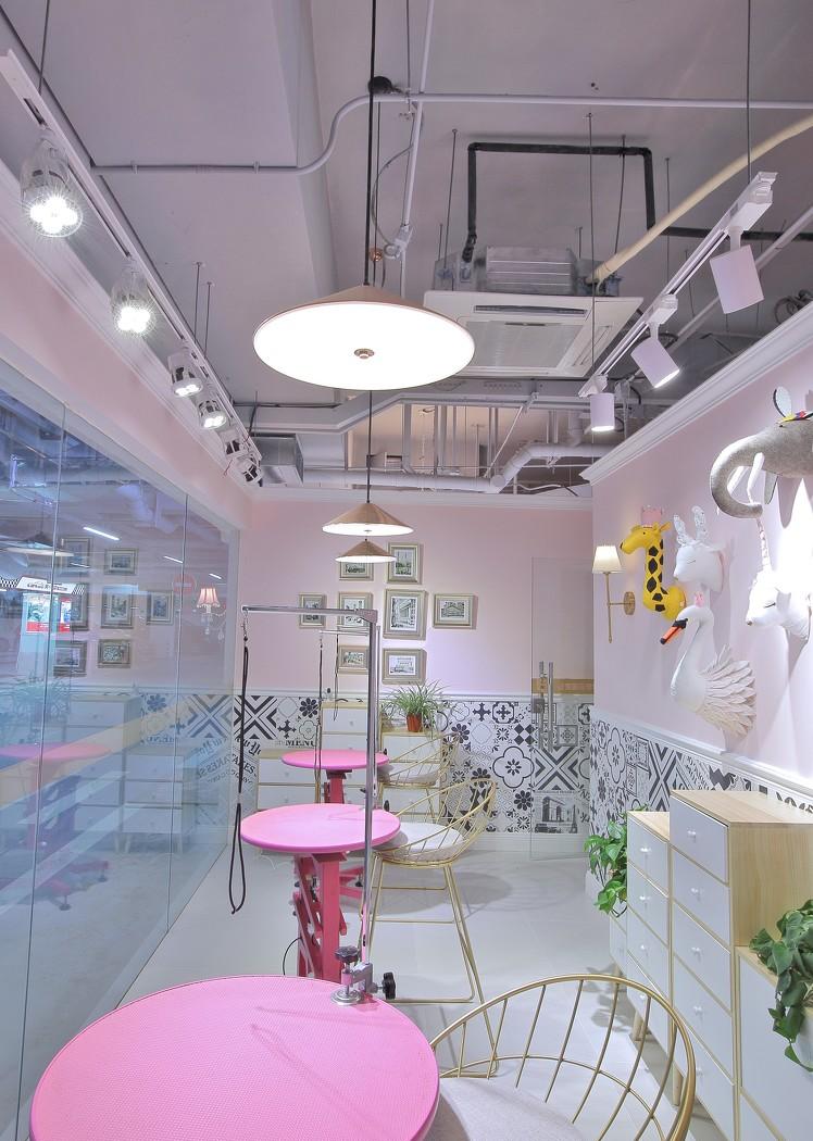 
IN99宠物店 盼宝国际宠物会所 -5