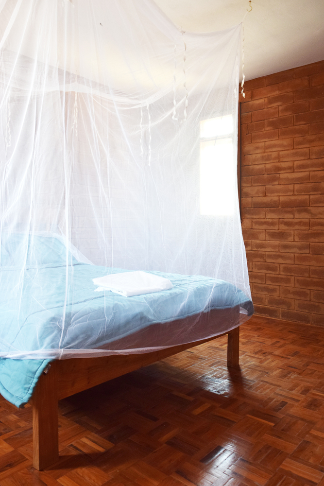 Compact Housing in the Informal Settlements of Maputo  Casas Melhoradas-39