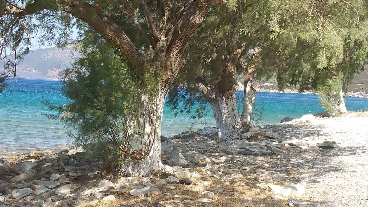 希腊伊奥斯自然疗愈之岛-10