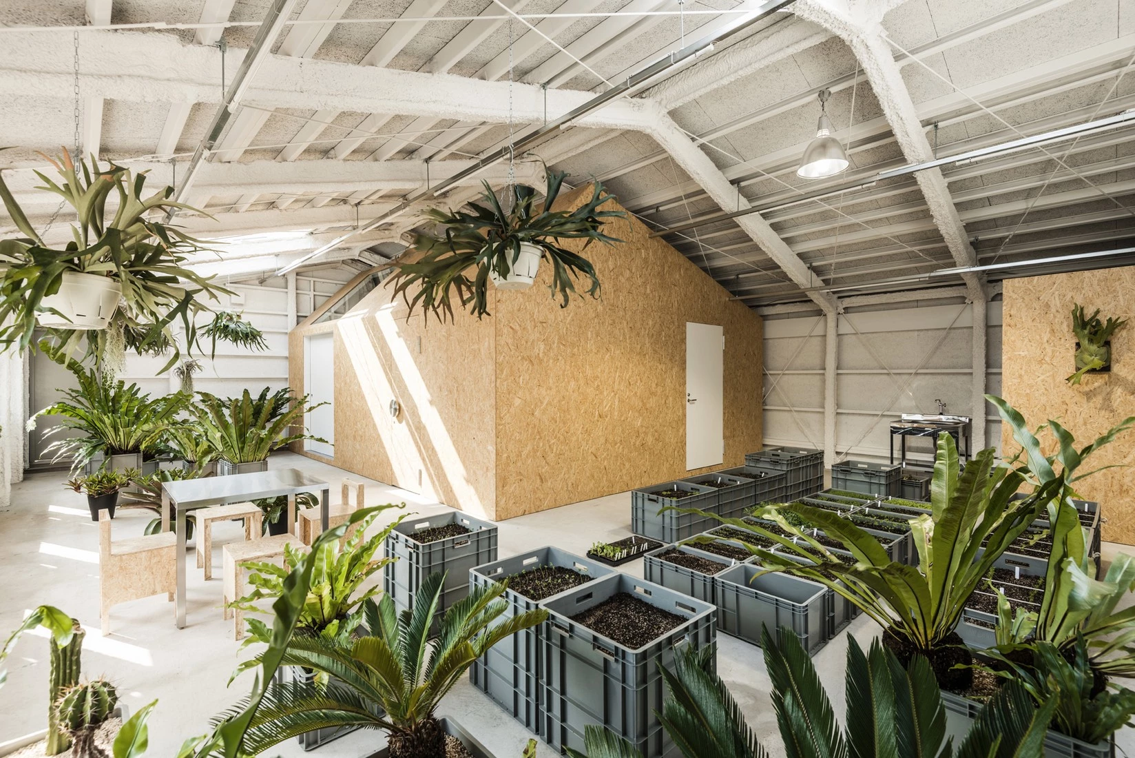 东京艺术家工作室,旧厂房的创意新生-39