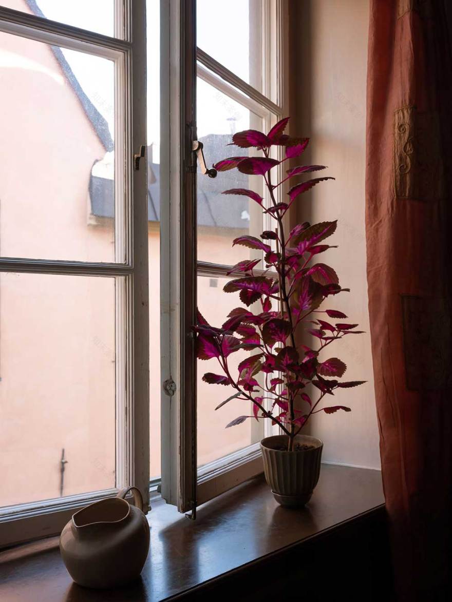 18 世纪斯德哥尔摩复古公寓,历史与现代的完美融合-18