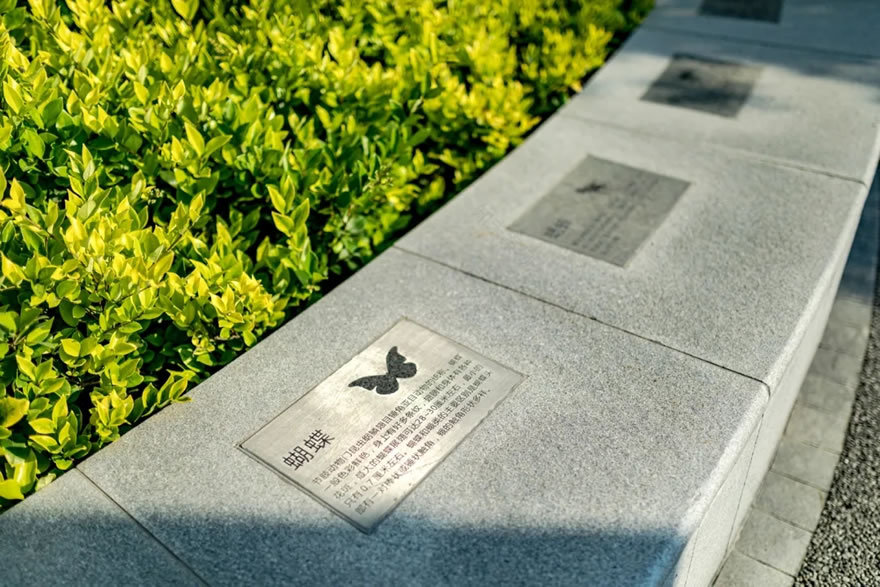 西雅图(云谷公寓)-38