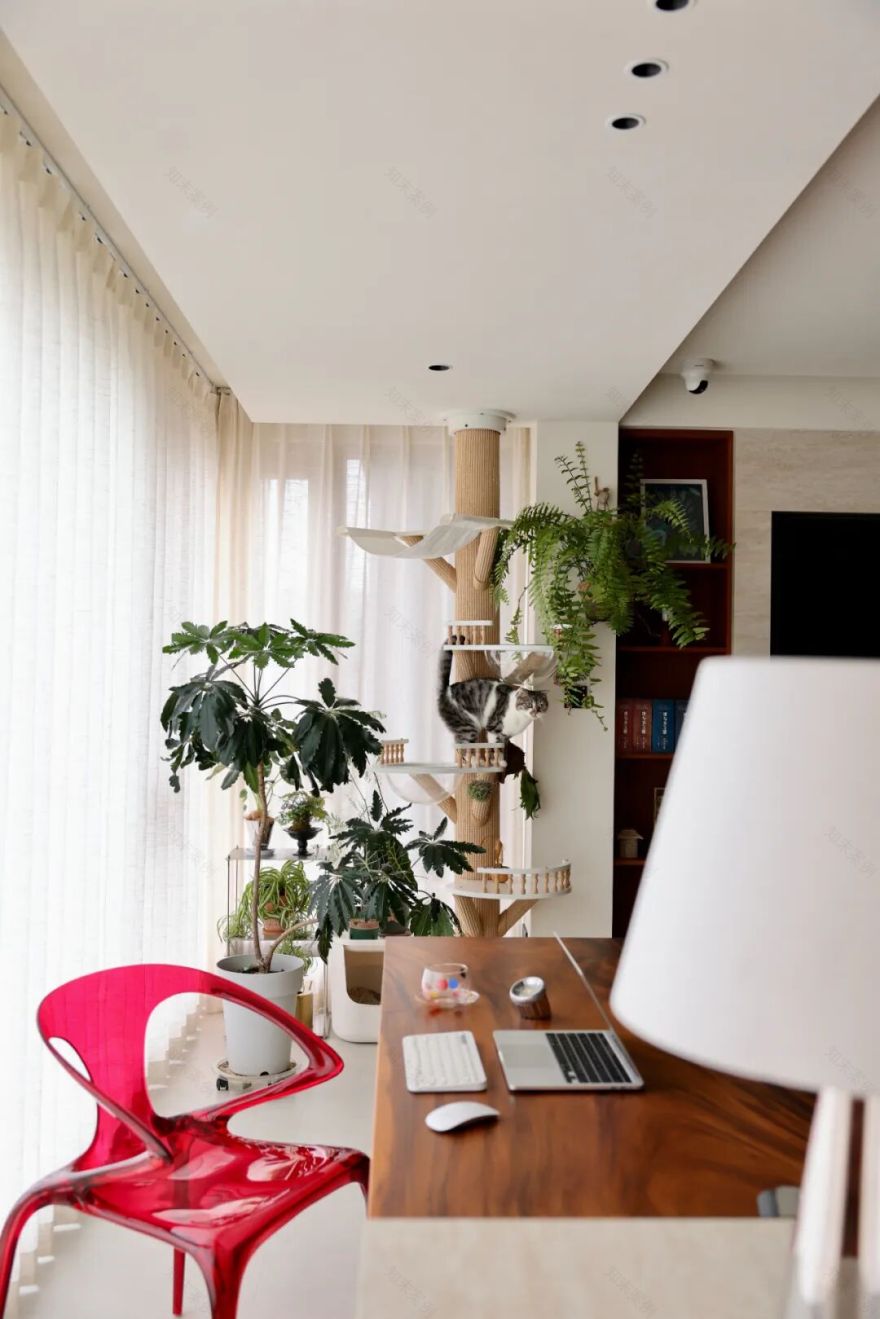 一屋光影,半室温柔丨中国宁波丨未也设计事务所-17