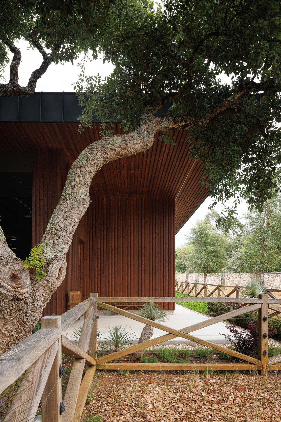 CC住宅 – Quinta dos Carvalhos丨葡萄牙丨Inception Architects Studio-175