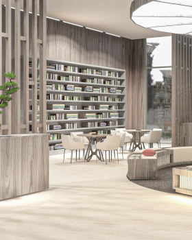 Reception & Library design - 3rd year working bonus