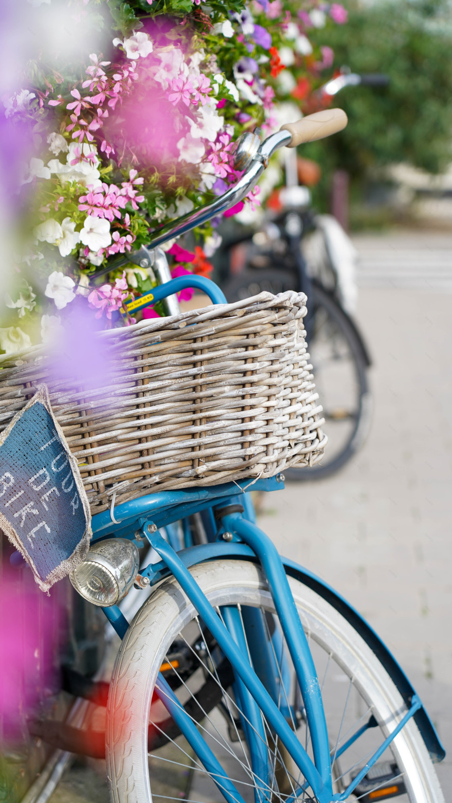 阿姆斯特丹的快照丨荷兰阿姆斯特丹丨@nati_caviglia-11