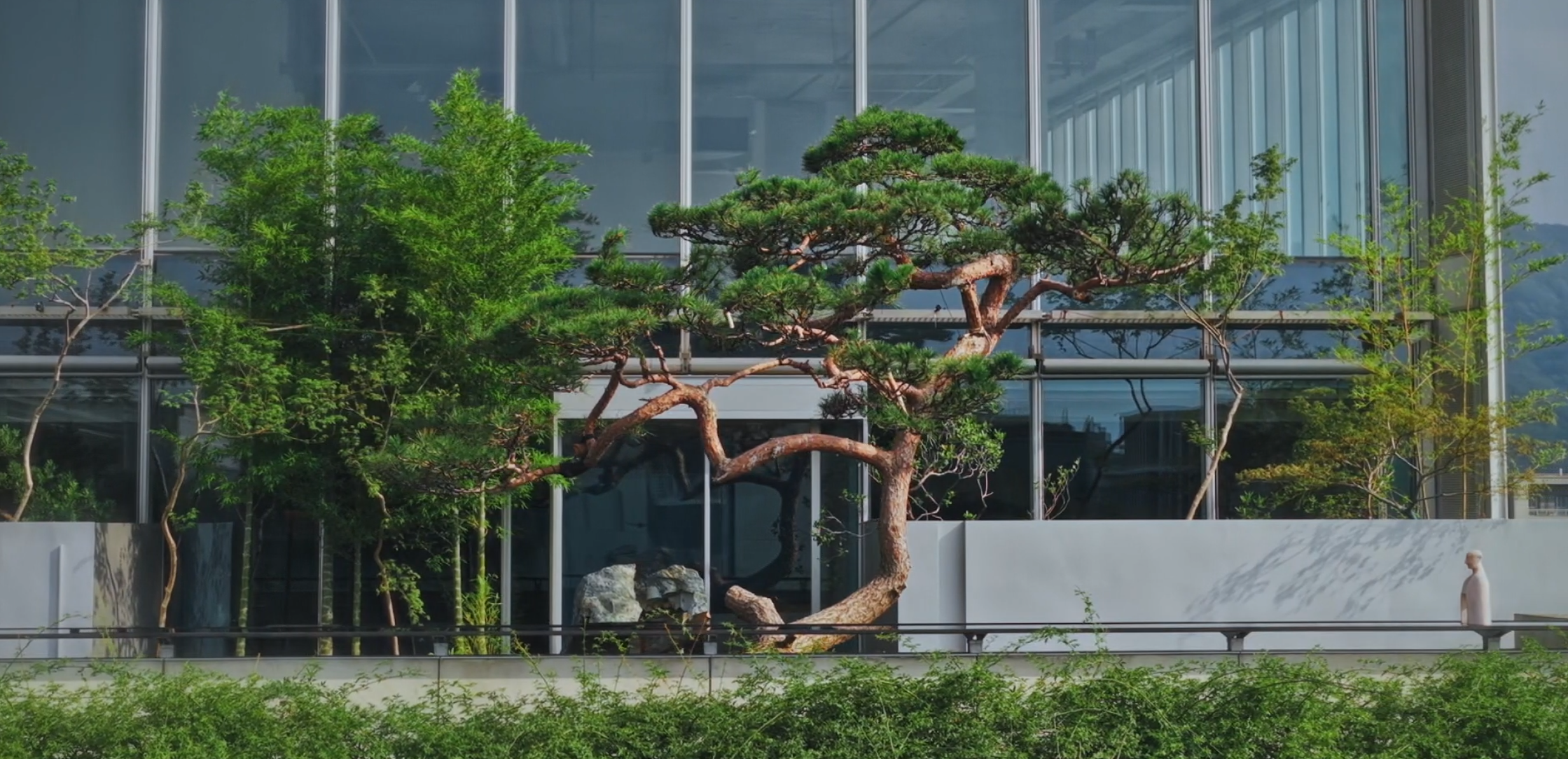 天目里·青竺茶局丨中国杭州丨山山园林(景观及室内方案),三嘉设计(室内深化)-15