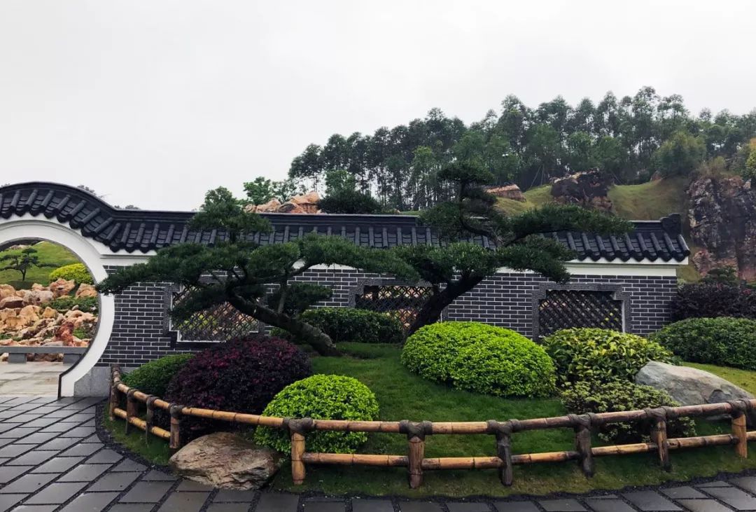 南宁罗汉松园 | 写意山水与天人合一的现代园林-120