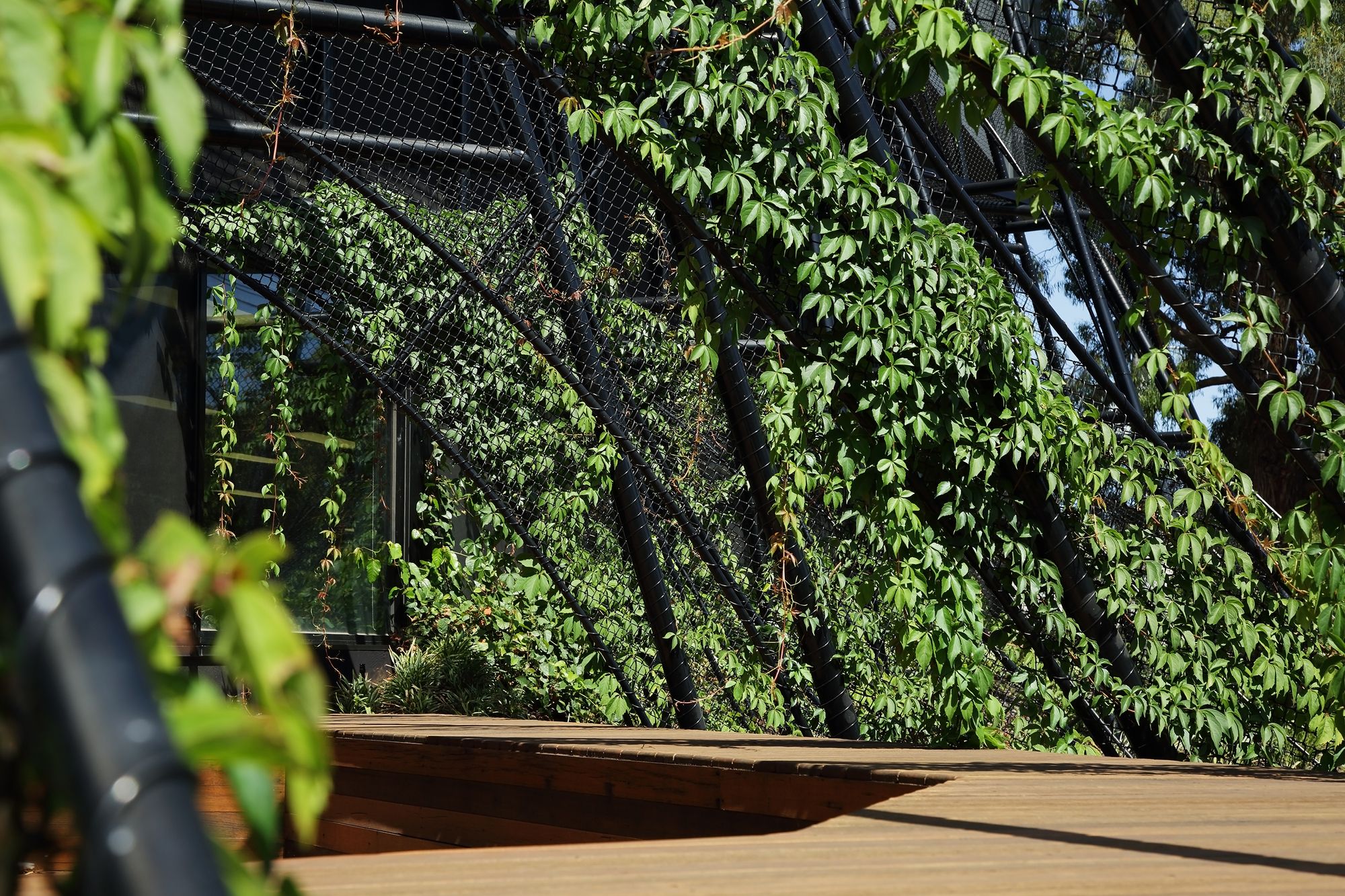 梅尔罗斯健康-27