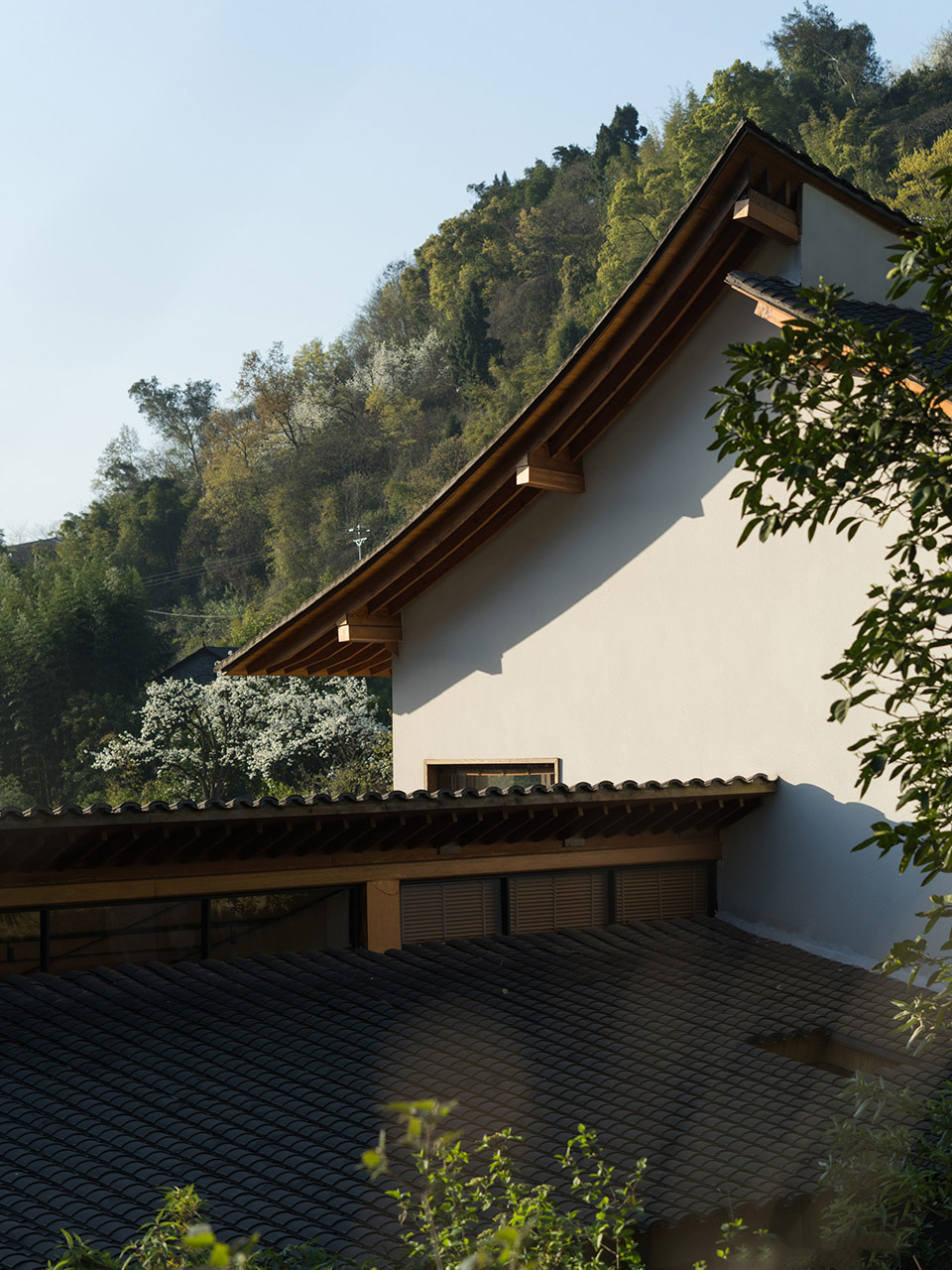 OFFICE真相专辑 NO.53 & 小隐建筑-370