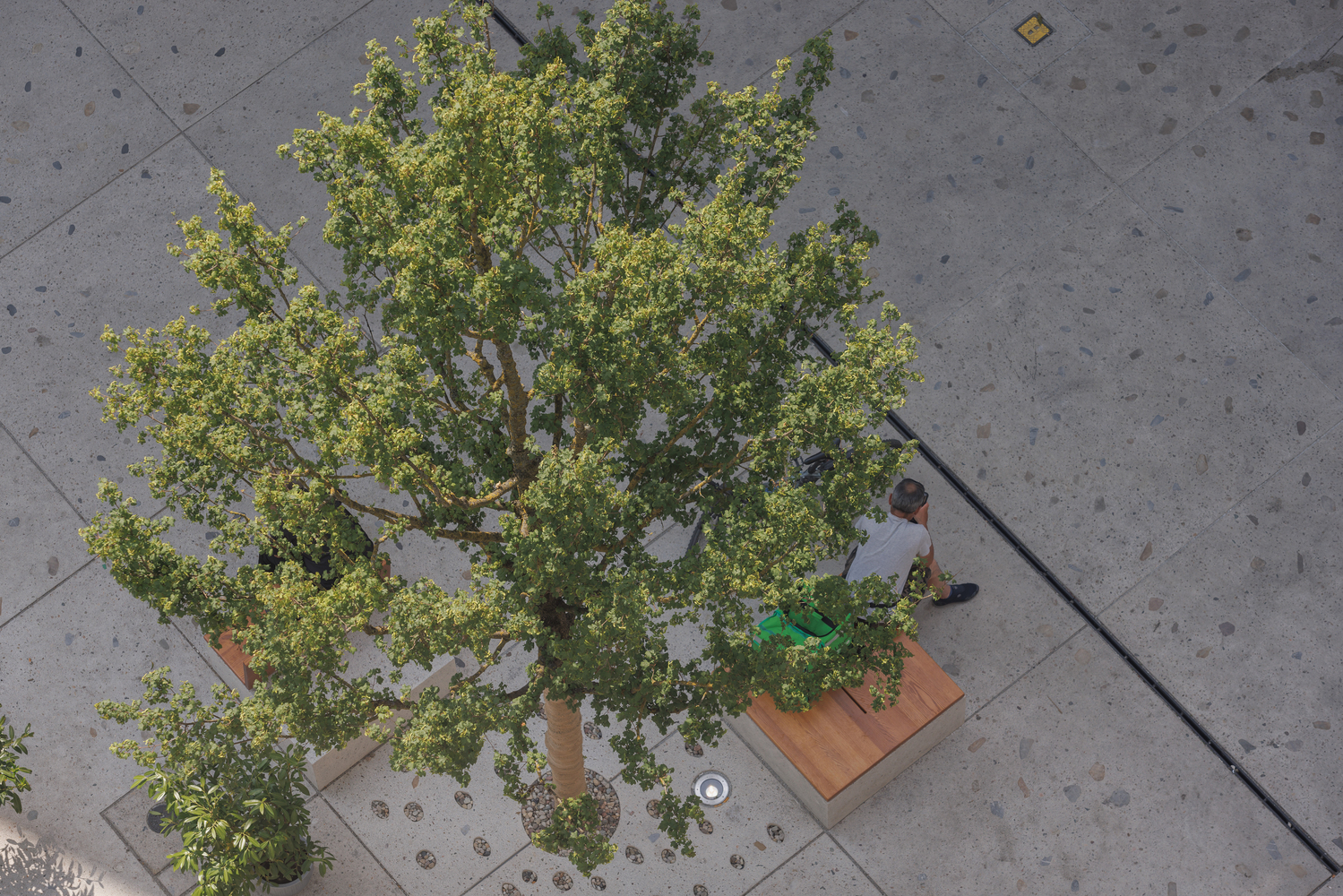 华沙五角广场丨波兰华沙丨Marta SękulskaWrońska 等-18