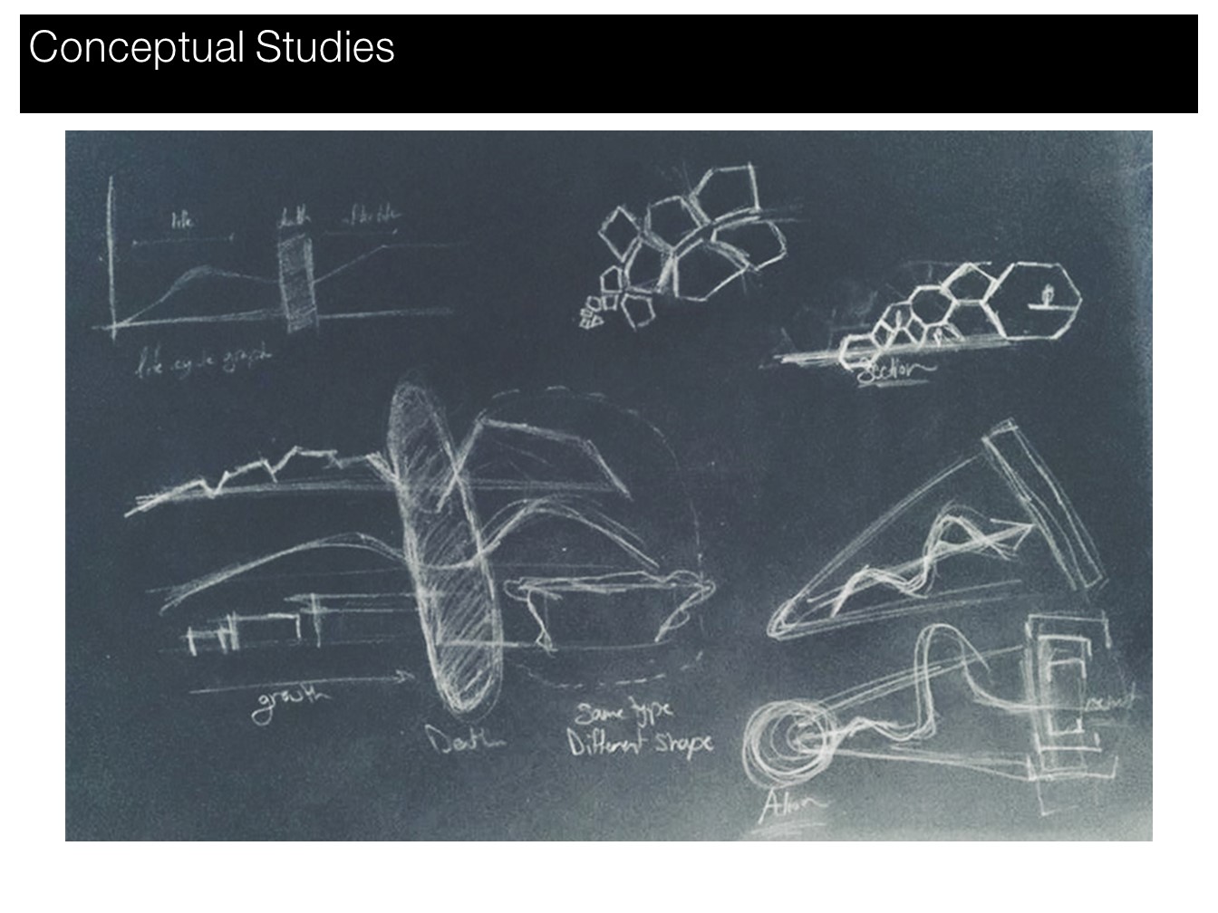 Labyrinth Storytelling Cultural Centre in Luxor-6