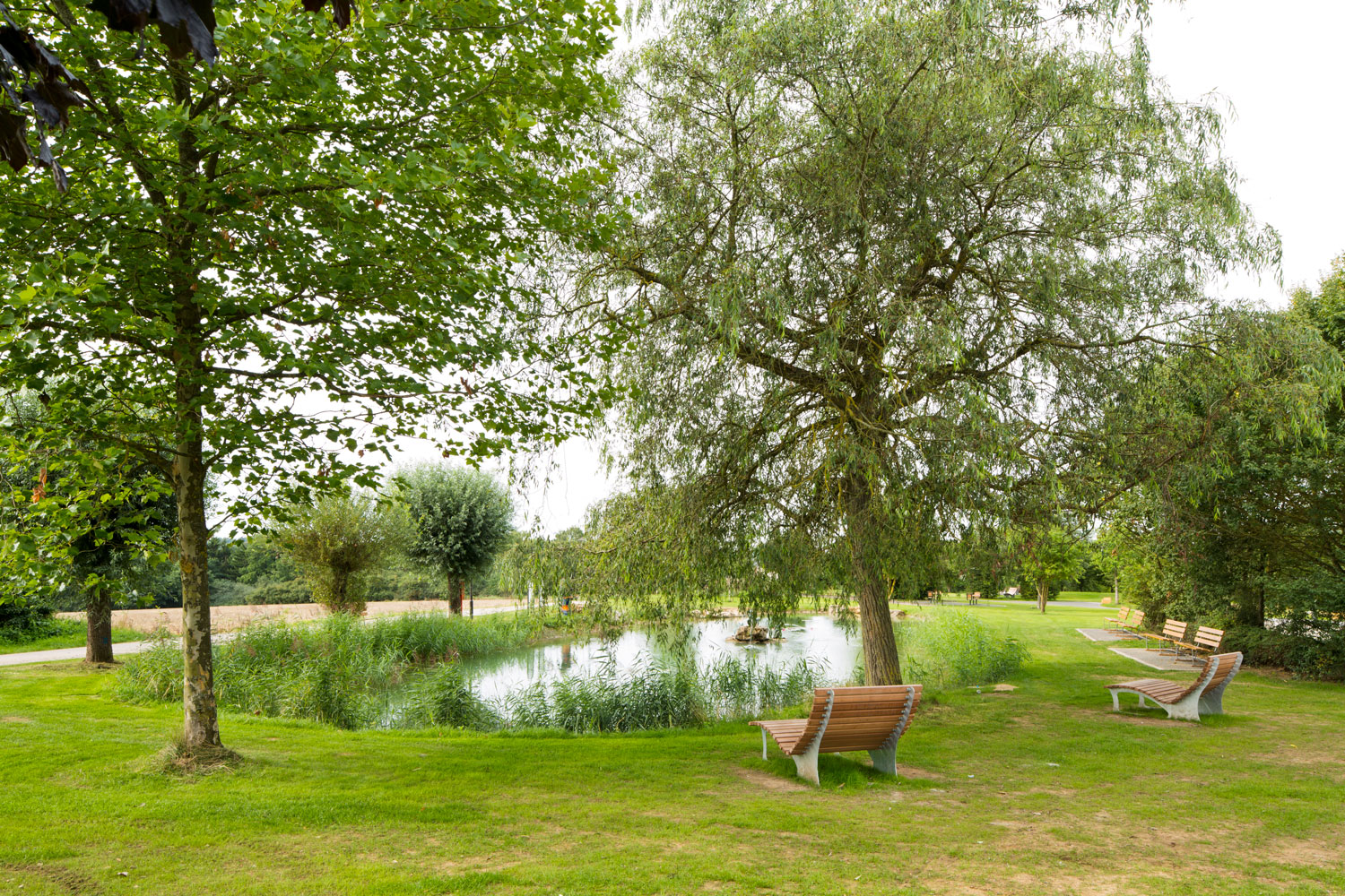 卢森堡卡尔特雷斯公园-17