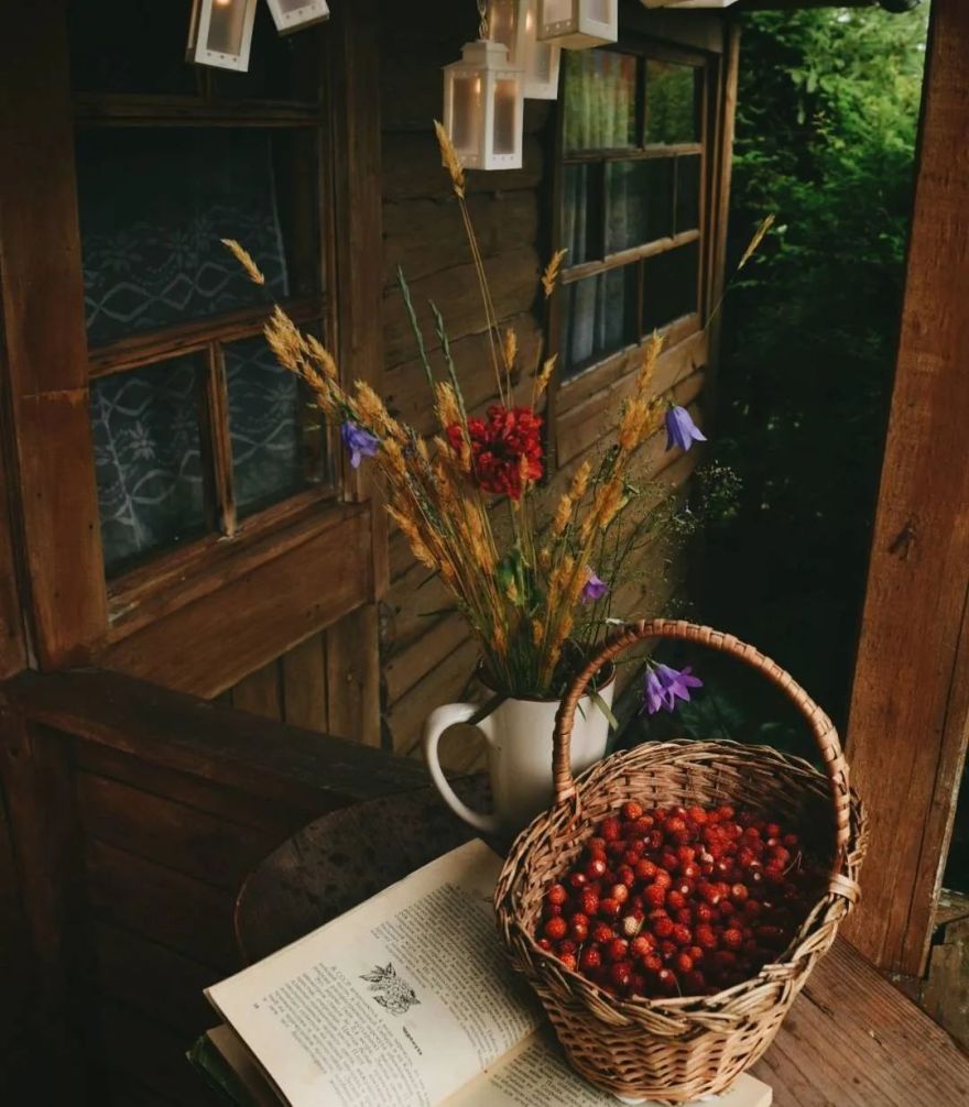 97 年小仙女隐居森林,把生活过成了童话-13