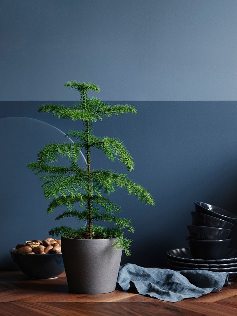 IKEA 深蓝色圣诞室内设计-14