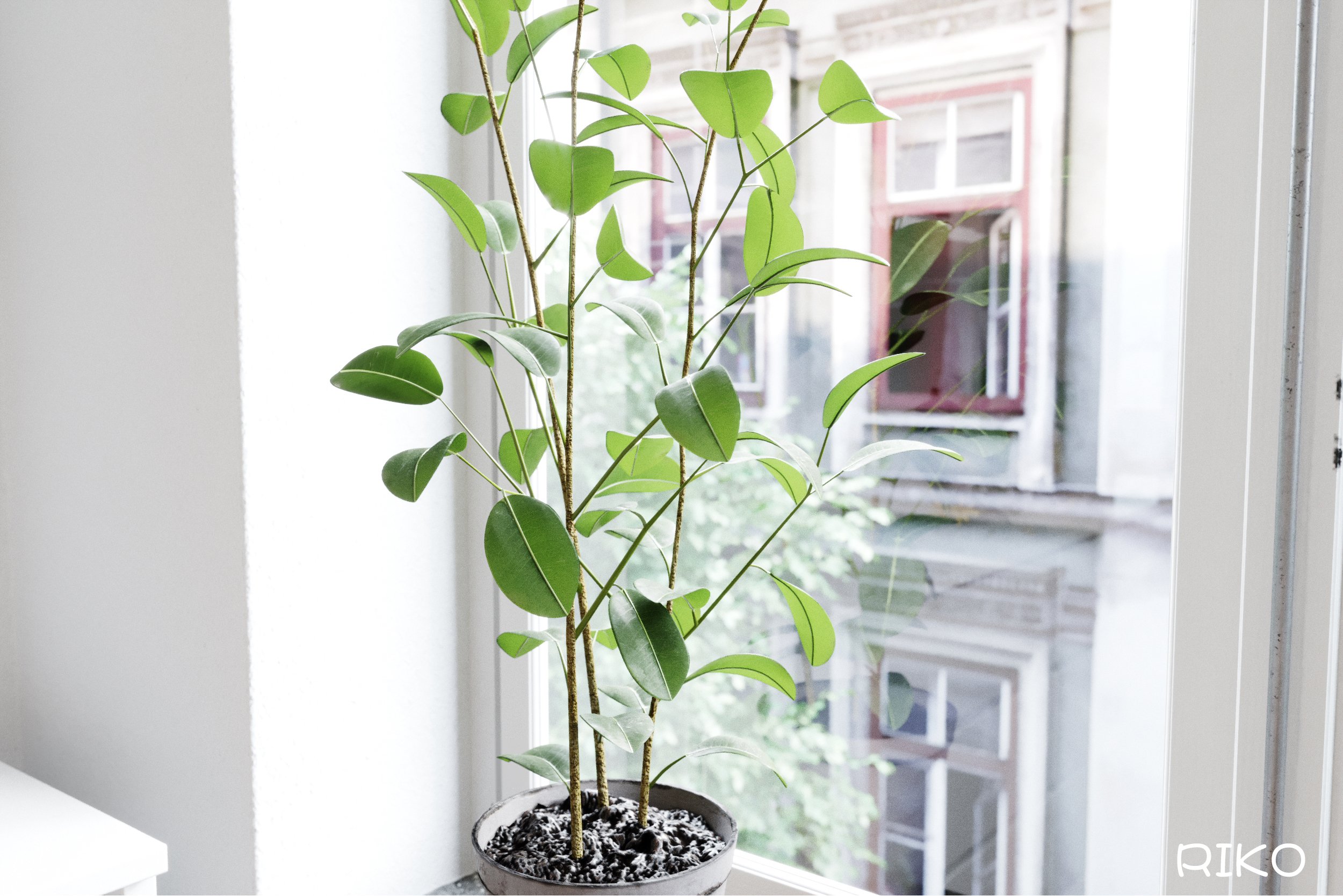 简约风格小厨房，打造温馨烹饪空间-17