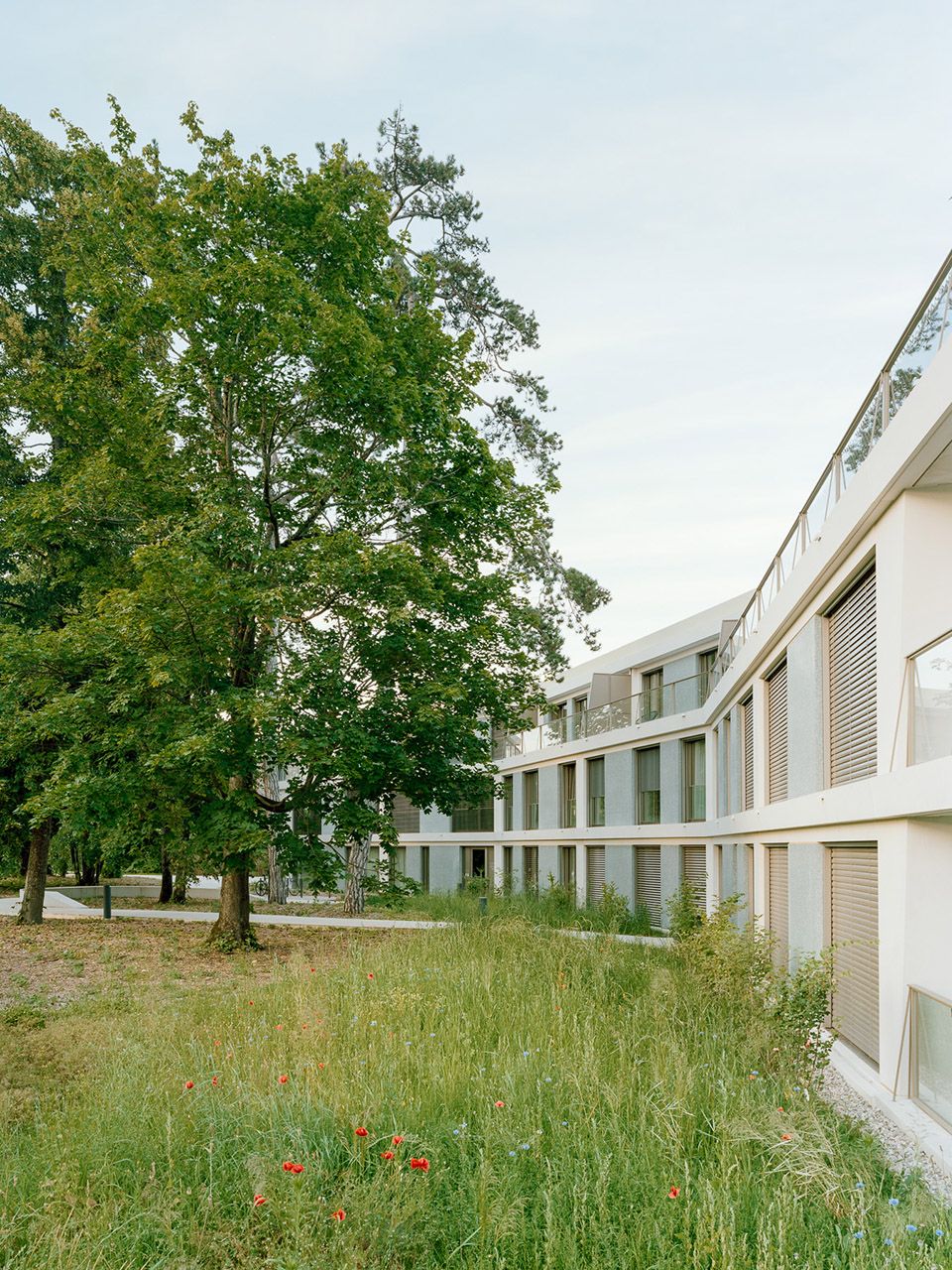 Condominium 公寓丨瑞士日内瓦丨Lacroix Chessex-79