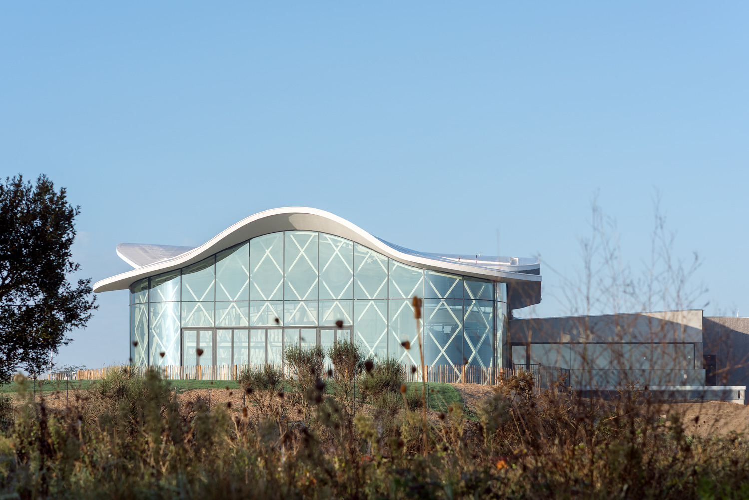 体育馆丨MultiplexeAquatique-27