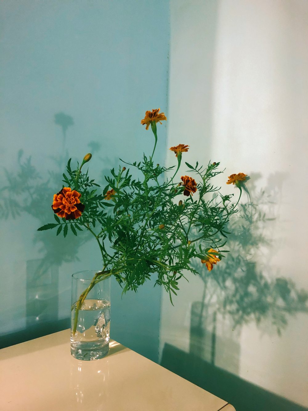 创意花艺 Instagram 账号盘点-4