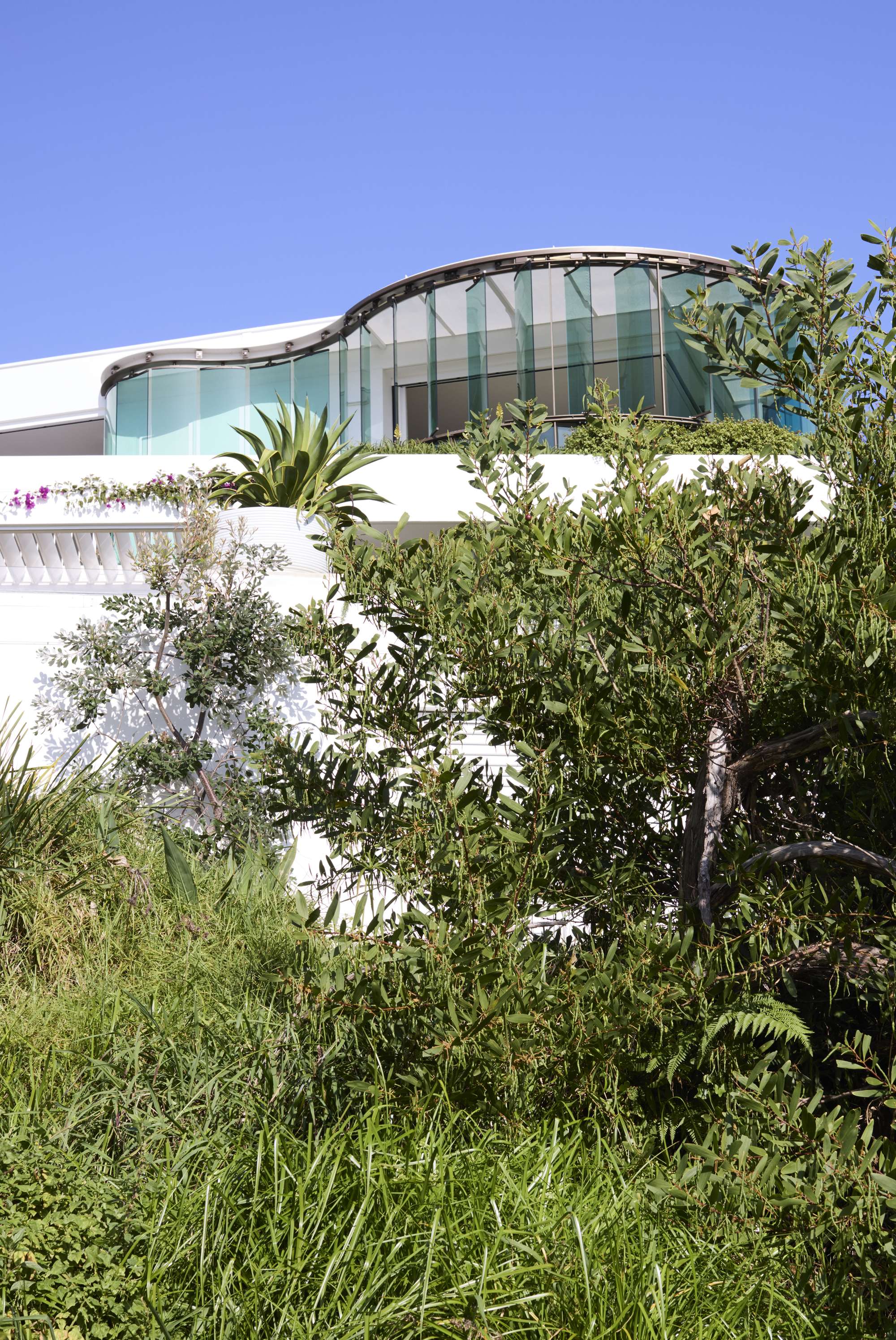 丨澳大利亚悉尼丨Luigi Rosselli Architects-33