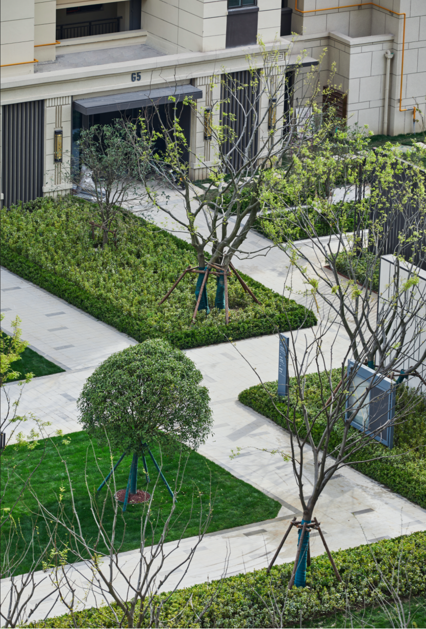 云湖逸境二期丨孔雀城-60