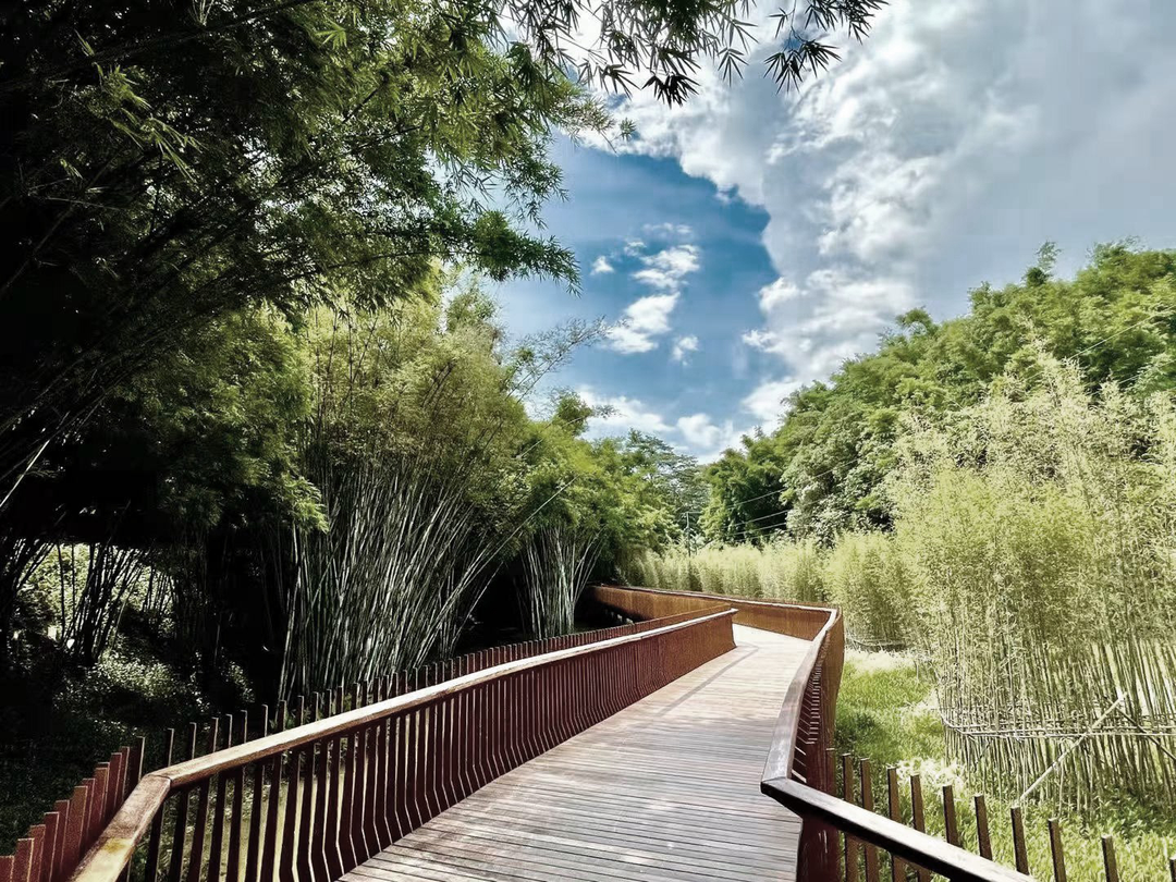 天鹿湖航新种子谷·现代农业公园丨中国广州丨PFS Studio(丛联景观)-104