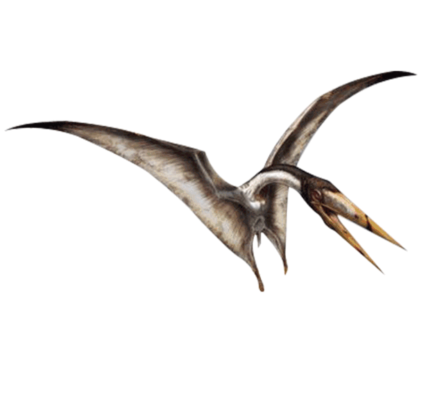 盐运九曲,八里秦淮 | 绿地西南 • 自贡-79