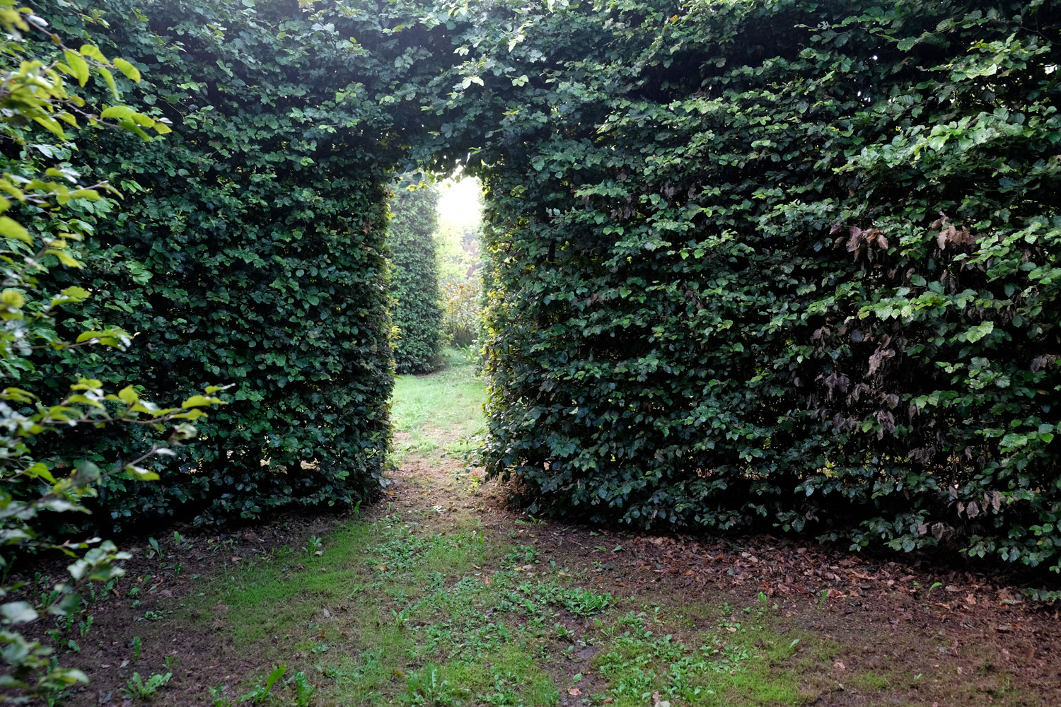 丹麦私家花园 Ellipse Garden-20