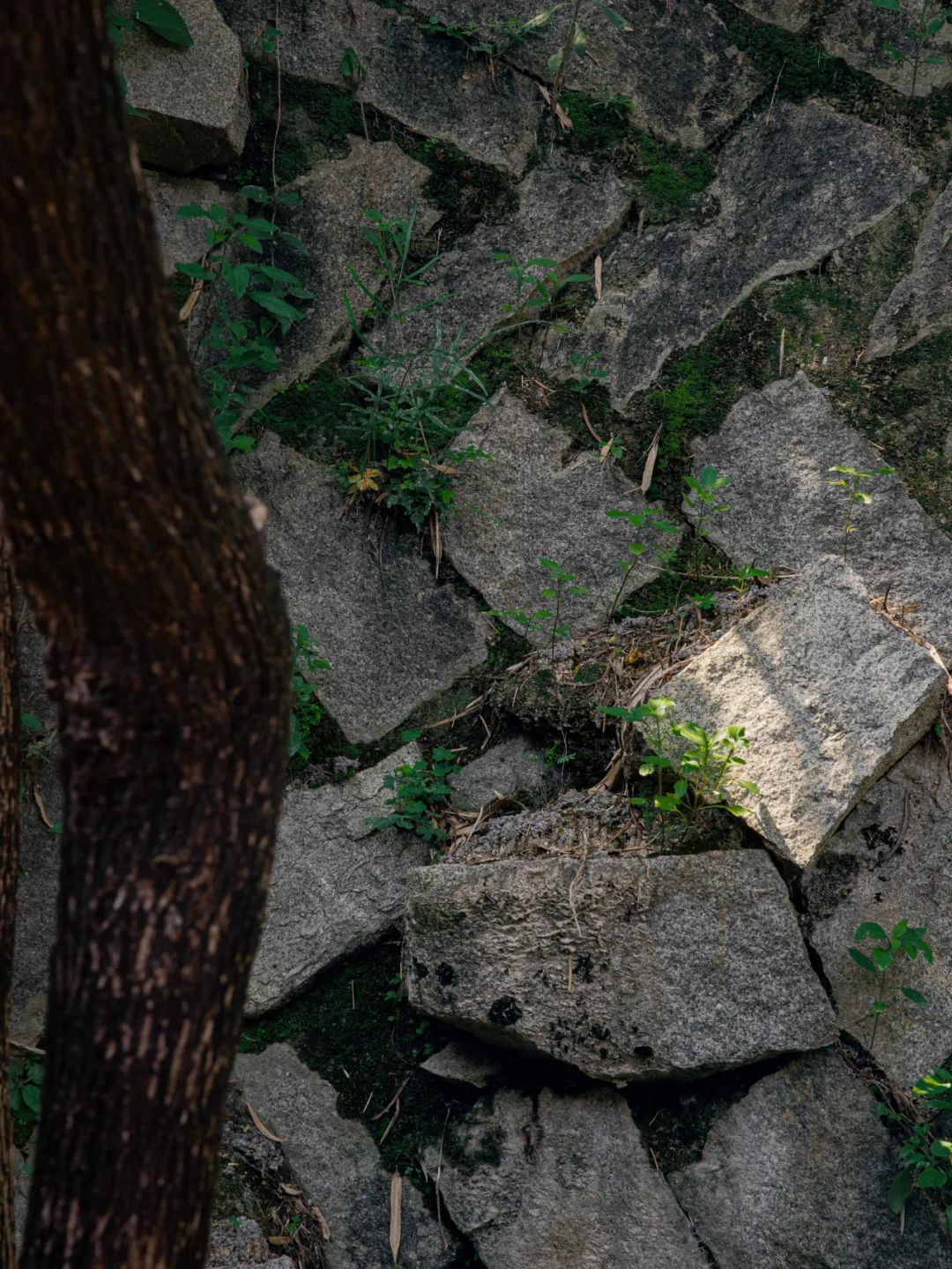 温泉山居民宿丨中国厦门丨柒构设计-50