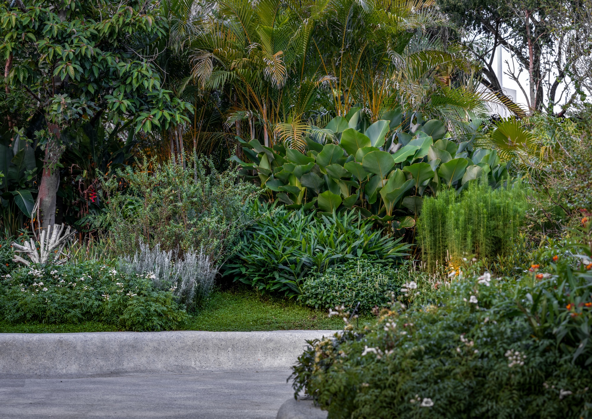 三亚海棠河生态公园（二期）·热带奇趣园丨中国三亚丨LOLA Landscape Architects B.V.-42