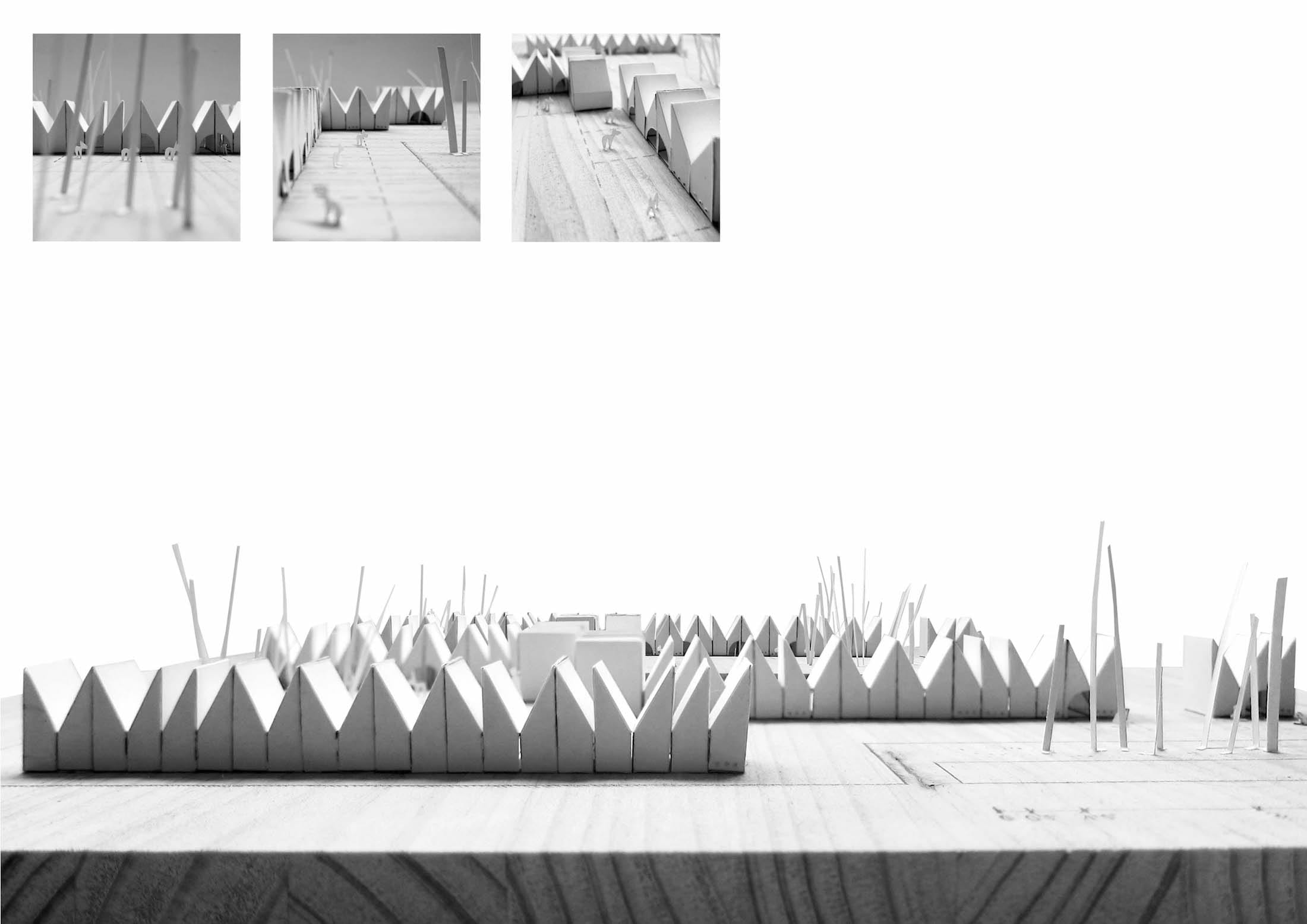 动物收容所,SERRANO + BAQUERO Arquitectos-15