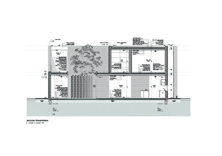 绿意盎然的新 Newman House-17