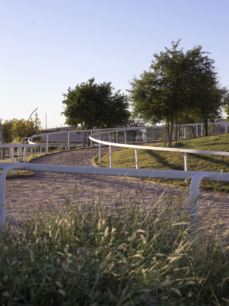 O·ygen Park · 沙漠中的绿色避风港丨卡塔尔多哈丨AECOM-39