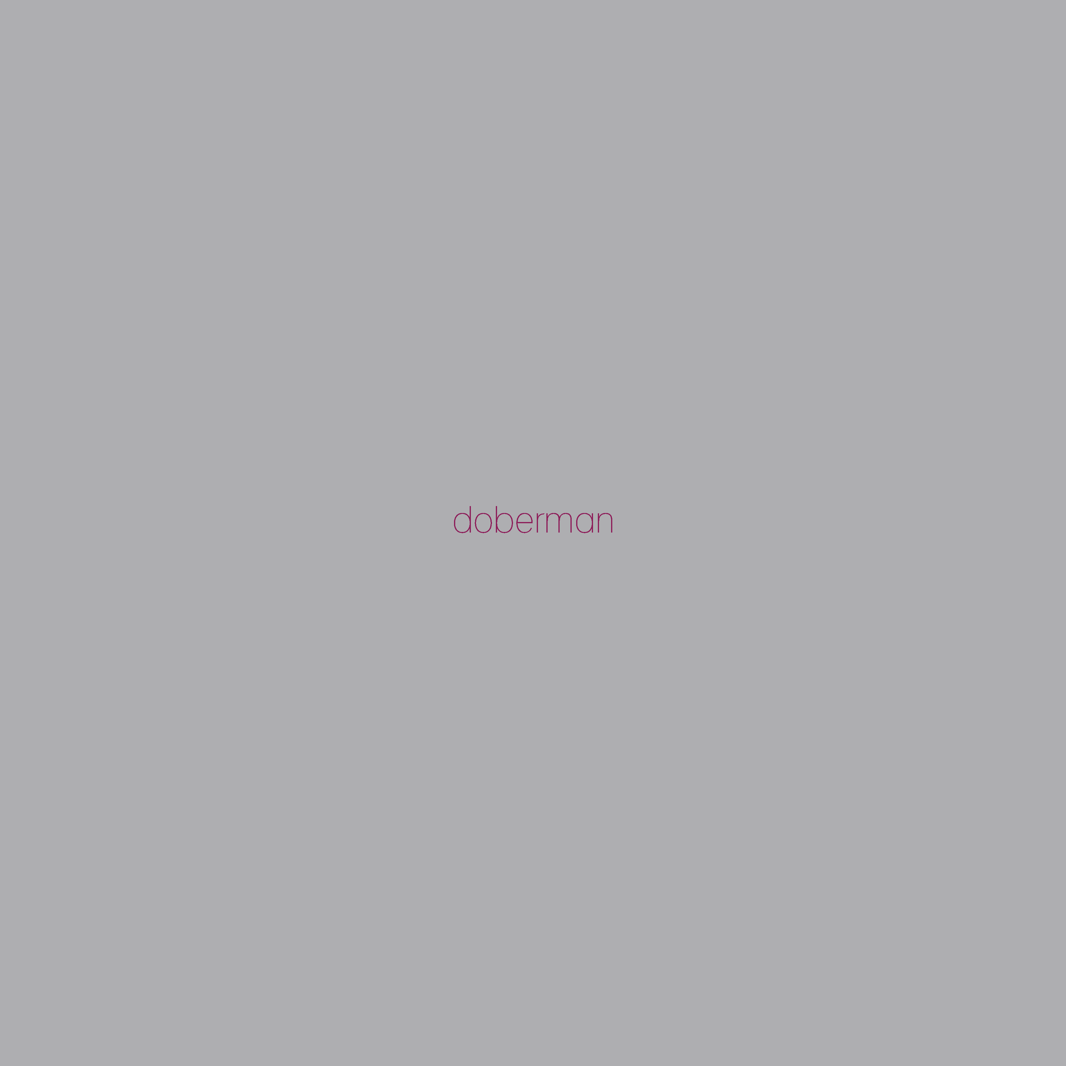 Doberman. Illustration. Minimalism-5