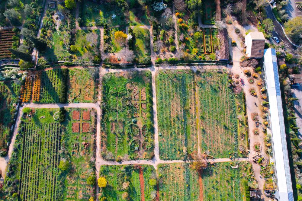 The Gardens of the International Perfumery Museum - France-10