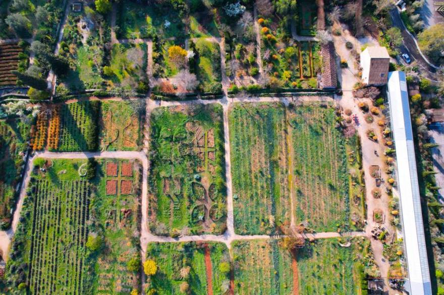 The Gardens of the International Perfumery Museum - France-10