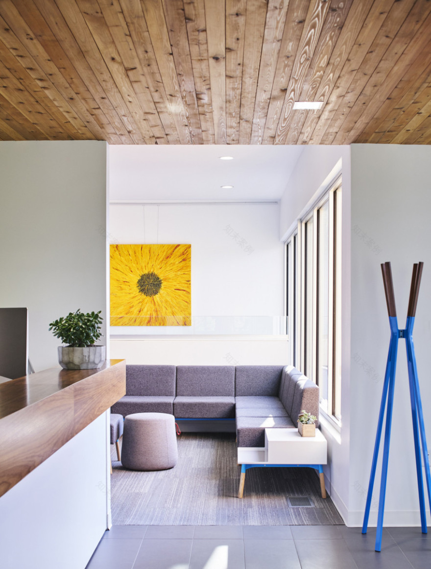 Kanning Orthodontics 牙科诊所设计-7