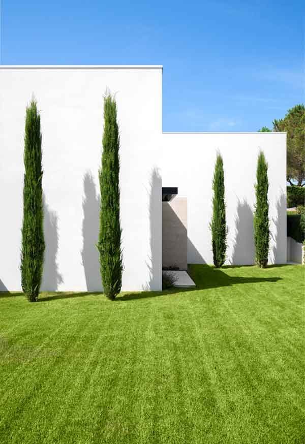 SAOTA设计的圣特罗佩住宅丨法国丨SAOTA（南非开普敦获奖建筑事务所）-9